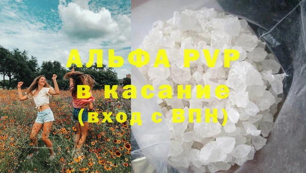индика Алексин