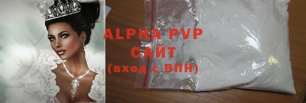 индика Алексин