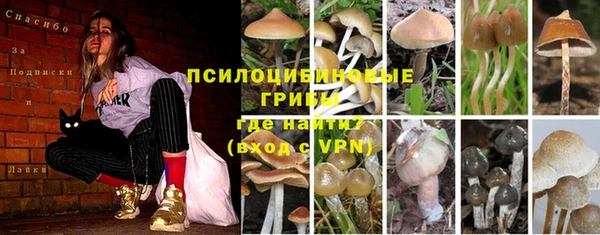 индика Алексин