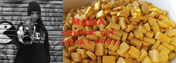 индика Алексин